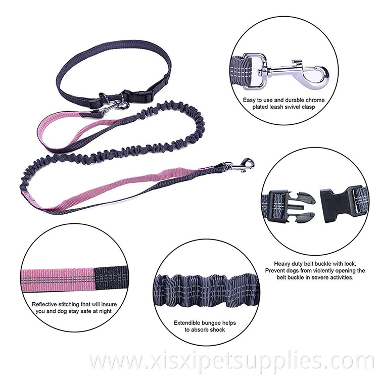 Hands Free Dog Running Leash Dual Handle for Control Shock Absorbing Bungee